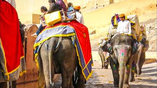 Rajasthan the Land of the Kings  Full Documentary [upl. by Johnston519]