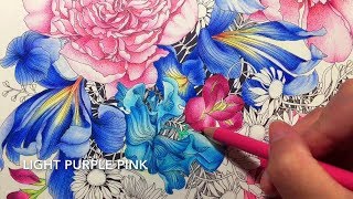 Floribunda 6  Coloring Book by Leila Duly  Polychromos Pencils [upl. by Joceline95]