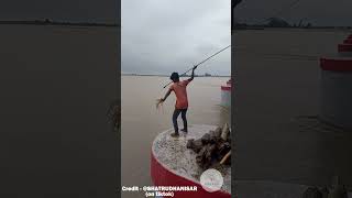 Catching Floating Logs with Spears  facts skill survival fishing amazing interestingfacts [upl. by Georgianne589]