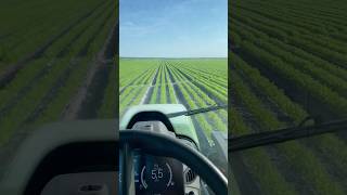 Binage carottes  2024 agriculture fendt 🥕 [upl. by Lewak]