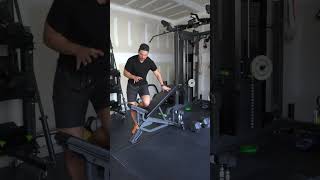 Side lying incline db lateral raise [upl. by Elwaine]