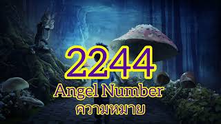 2244 Angel number เลขนางฟ้า มีความหมายอะไรจักรวาลมาบอกอะไรคุณกฏจักรวาลกฏ ครูซันนี่england [upl. by Itirahc]