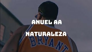 Anuel AA  NATURALEZA LETRALYRICS [upl. by Edya706]