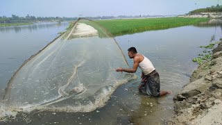 Amazing Net Fishing Video  Cast Net Fishing Video In River [upl. by Lleder]