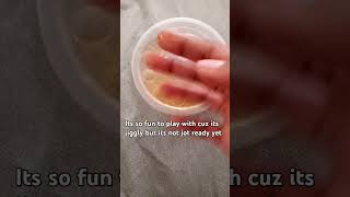 Trying no glue and activator Recipes recipes slime noglue noactivator shampoo fyp viral [upl. by Ysor]