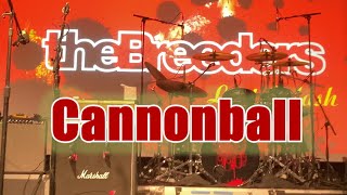 The Breeders  Cannonball Live Music Hall Köln [upl. by Mastrianni]