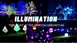 Illumination Tree Lights at the Morton Arboretum 2021  Lisle IL [upl. by Hayton]