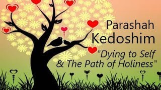 30 Torah Parashah Kedoshim  The Path to Holiness [upl. by Kadner]