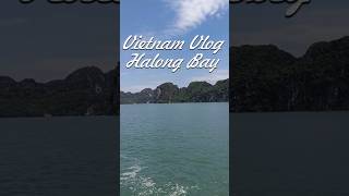 Vietnam Vlog Short  Halong Bay [upl. by Ednihek]