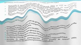 EVALUACION CURRICULAR  UDELAS [upl. by Brost792]