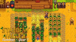 STARDEW VALLEY Chill gameplay for relax or study  Full summer Year 1  No commentary [upl. by Frager]