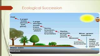 Ecological succession in environmental science [upl. by Ries]