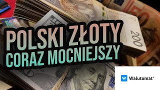 Polski złoty coraz mocniejszy w stosunku do dolara Czy RPP umocni polską walutę [upl. by Ilbert]