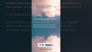 AWS Amazon DocumentDB aws certification exam documentdb ccp saa [upl. by Joris678]