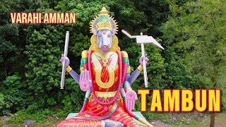 Largest Varahi Amman Statue Ipoh🇲🇾 hindutemple temples hindugods fyp [upl. by Nnasus]