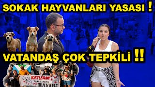 Sokak hayvanları yasasını HALKa sorduk  İşte cevaplar  Güncel Sokak Röportajı [upl. by Barnie]