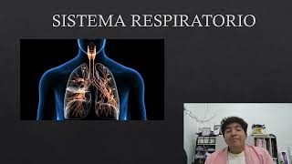 SISTEMA RESPIRATORIO [upl. by Airod680]