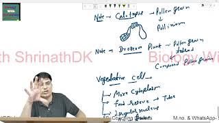 Development of Pollen grain Class 12  Pollen products  Pollen Allergy  NEET  Class 12 Biology [upl. by Purity701]