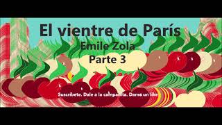 Emile Zola El vientre de París Parte 3 y final Audiolibro en español latino [upl. by Gnemgnok]