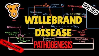 VON WILLEBRAND DISEASE Pathogenesis of clinical symptoms vWF function Treatment Classification [upl. by Dnalrag]