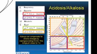 pH Acid Homeostasis Part 2 [upl. by Tati777]