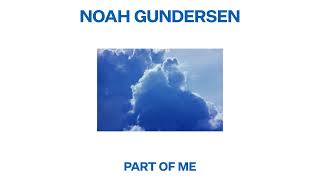 Noah Gundersen  Part of Me Official Visualizer [upl. by Nnylrats]