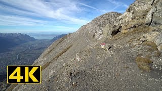 Martinets pass  8600ft  Alpine Antelope  Switzerland [upl. by Halette]