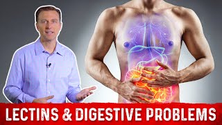 High amp Low Lectin Foods amp Digestive Problems Explained by DrBerg [upl. by Guibert27]