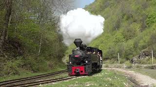 Steam of Viseu de Sus Forest Railway Romania May 2022 1 ルーマニア ビシェウデスス森林鉄道の蒸気機関車2022年5月 1 [upl. by Assenaj]