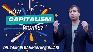 How Capitalism Works Punjabi [upl. by Eixirt]