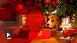 TV2 Hungary  Christmas Idents 2011 [upl. by Thedrick]