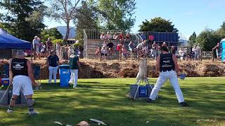 Fastest To Cut Wins  Wood Chopping Competition NZ woodchopping nz [upl. by Otrebor]