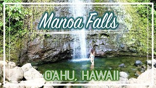 Manoa Falls Trail  Oahu Hawaii [upl. by Liuqnoj]