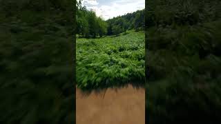 Clent Hills worcestershire nature outdoors [upl. by Aiekram]