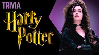 Harry Potter Trivia Quiz Part 1  Test Your Wizarding Knowledge HERE 🧙‍♂️📚✨ [upl. by Notlok503]