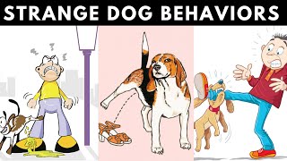 Meaning Of The 20 Strangest Dog Behaviors🐶 [upl. by Eiveneg]