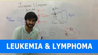 Leukemia  Overview  Classification [upl. by Anirazc]