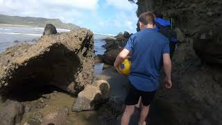 Exploring the stunning beauty of Bethells Beach part 5 🌊✨ BethellsBeach NZAdventures BeachVibes [upl. by Nuahsak]