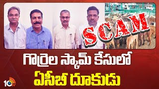 ACB Focus on Scam in Sheep Distribution  గొర్రెల స్కామ్ కేసులో ఏసీబీ దూకుడు  10TV News [upl. by Yzeerb]