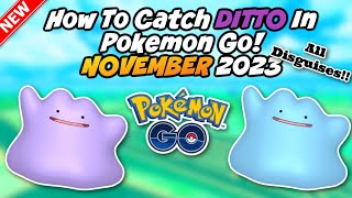 How To Catch A Ditto November 2023 All Ditto Disguises [upl. by Reve]