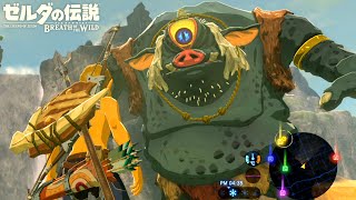 世界が絶賛した史上最高の神ゲー『 ゼルダの伝説 ブレス オブ ザ ワイルド 』4 [upl. by Valenba424]