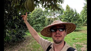 Infiltrating a Chanthaburi Durian Farm and a local Market [upl. by Elletsyrk]