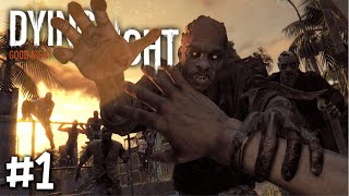 Прохождение Dying Light — Часть 1 Башня [upl. by Noemys]