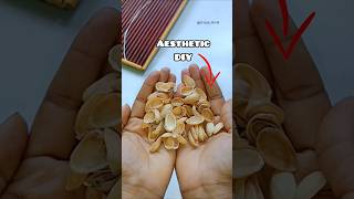 DIY Pista Shell Aesthetic Wall Decor diy shreyaworld ideas viral youtubeshorts craft [upl. by Thrift]