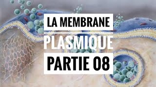 Roles de la membrane plasmique partie 03 [upl. by Kathe]