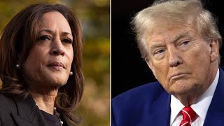 DONALD TRUMP 🆚 KAMALA HARRIS 2024 POST ELECTION PREDICTIONS‼️CAREFULLY CURATED CHAOS 🇺🇸 WORLD TAROT [upl. by Dleifniw778]