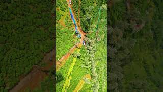 Majestic Aerial Tour of Wayanad Unveiling Keralas Hidden Gem wayanad wayanadtouristplaces [upl. by Erine]