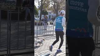 İSTANBUL MARATONUNU KÖPEKLE KOŞAN YARIŞMACI funny ayasofya marathon2024 marathon maraton fun [upl. by Duquette]