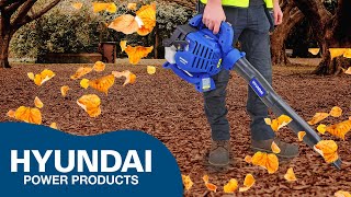 The Hyundai HYBV2600X 26cc 2stroke Leafblower Garden vac shredder and leaf blower 3in1 autumn [upl. by Warila]