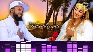 Farhaan sulee amp Ashiitaa Nuuree  Nuuraleeynii  Ethiopian Oromo Music  2022 [upl. by Janela]